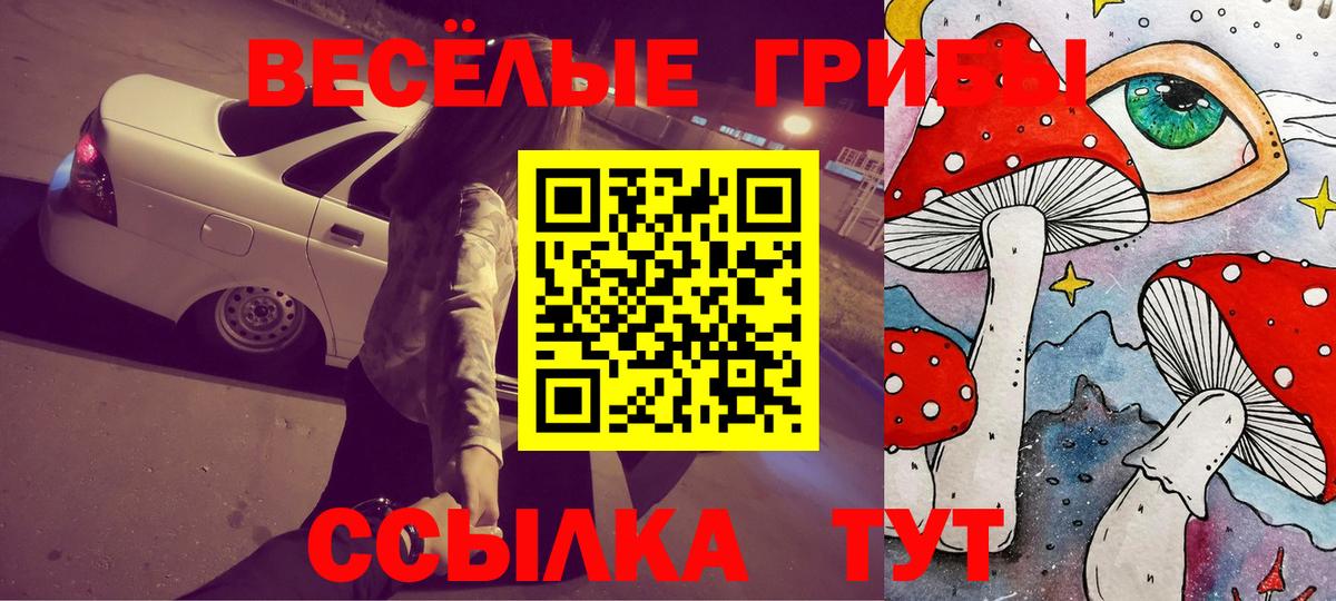Кувандык  Псилоцибиновые грибы ЛСД  Галлюциногенные грибы Cubensis  Вход с VPN 